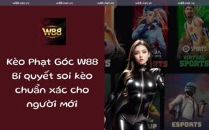 keo phat goc w88